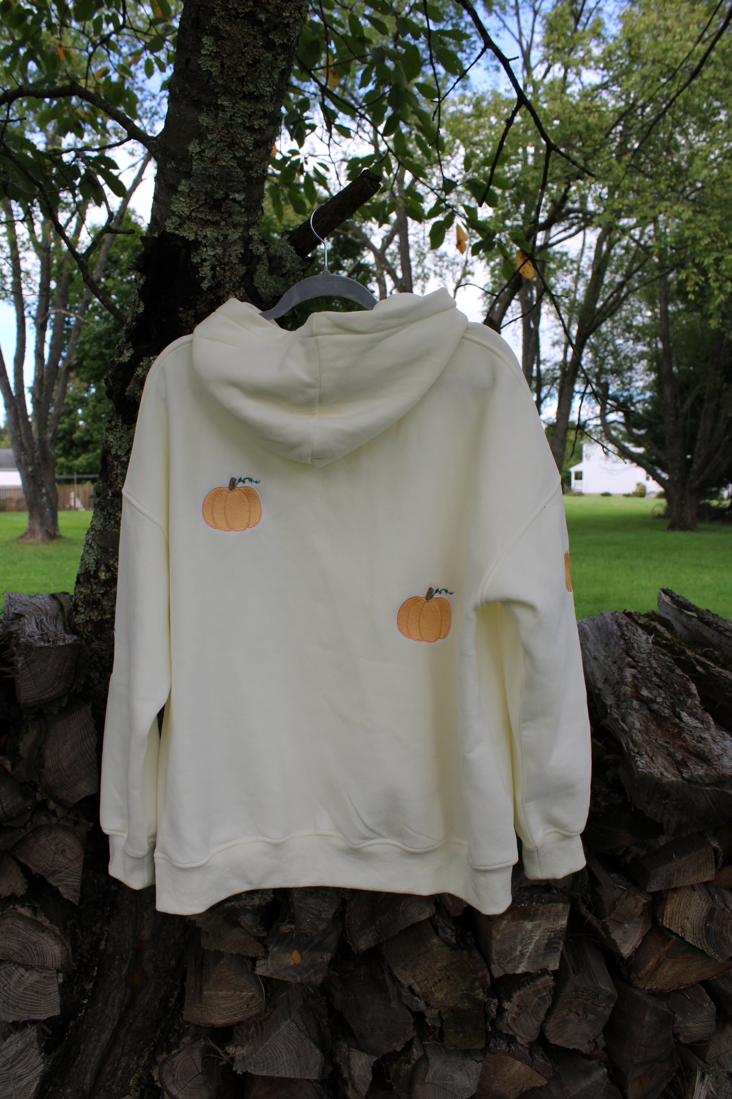 Pumpkin Hoodie