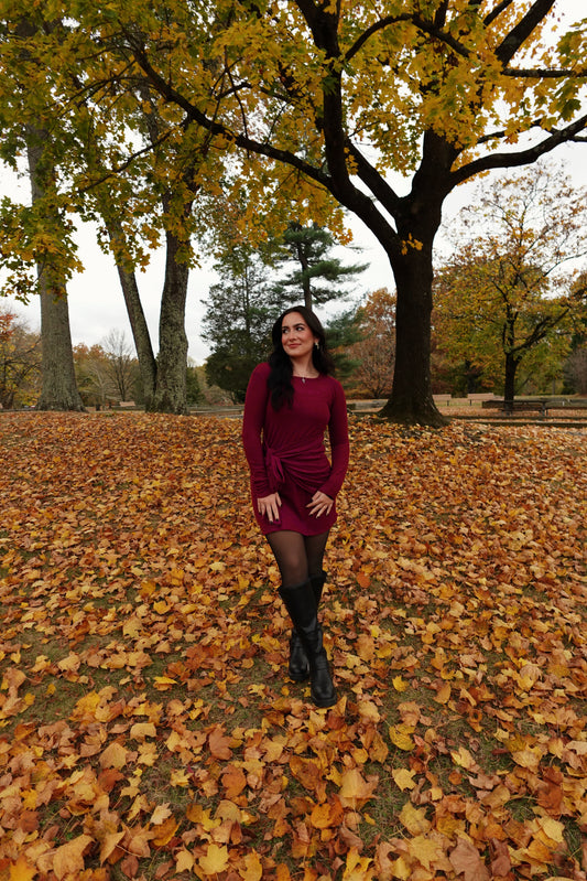 Cranberry Tie Dress